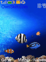 Fish Tank