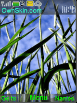 vista grass