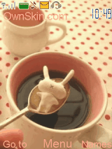rabbit