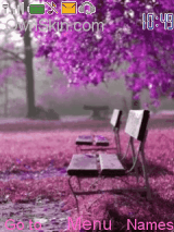 violet