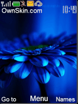 Blue 3