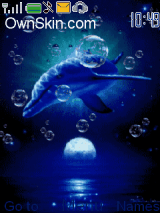 dolphin glory