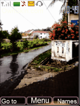 oasis