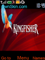 kingfisher