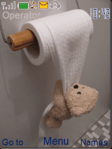 teddy bear