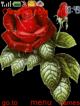 my love
