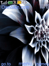 flawer