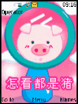 lovely pig