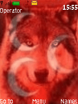 kurt
