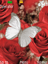 فراشة