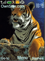 Tigers
