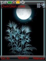 moonlight