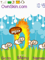 Sheep