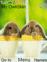 bunny