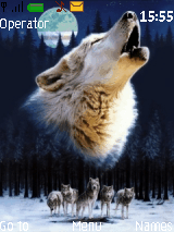 volf