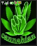 marijuana