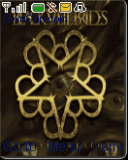 BVB PW