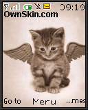 cute cat