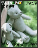 lovebear