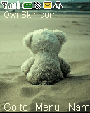 Teddy Bear in the Beach