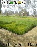 Punjab Pic