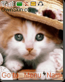 cute kitten