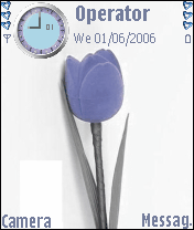 Blue Rose