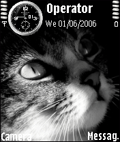 catie