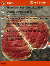 Acer