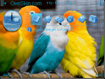 بغبان جميل
