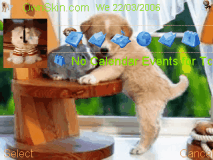 cute dog