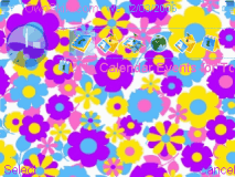 purple yellow