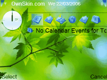 Evergreen nature 