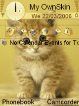cute cat