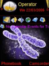 Chromosomes