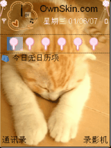 猫咪