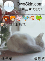miggie-猫