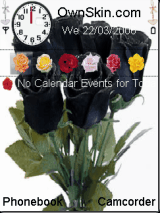 black rose