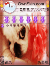 欢欢