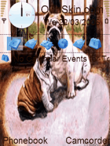 bulldogs
