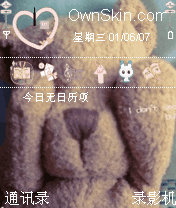 Teddy Bear