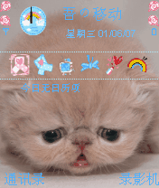 可爱猫咪