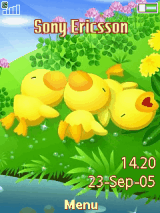 Cute Duck