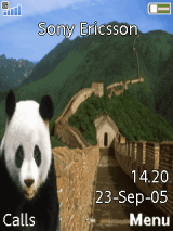 Giant Panda