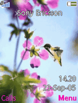 FlyingBird(Animated)