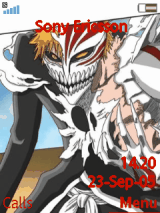 Ichigo Hollow