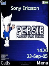 viking persib bandung