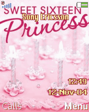 princess 16