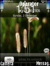MS Mobile