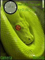 Green_Snake BY Ahsan jaan